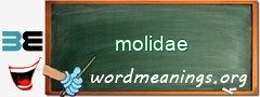 WordMeaning blackboard for molidae